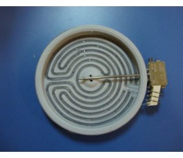 Placa electrica...