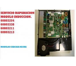 Servicio reparacion modulo...