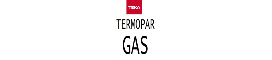 01 TERMOPAR GAS